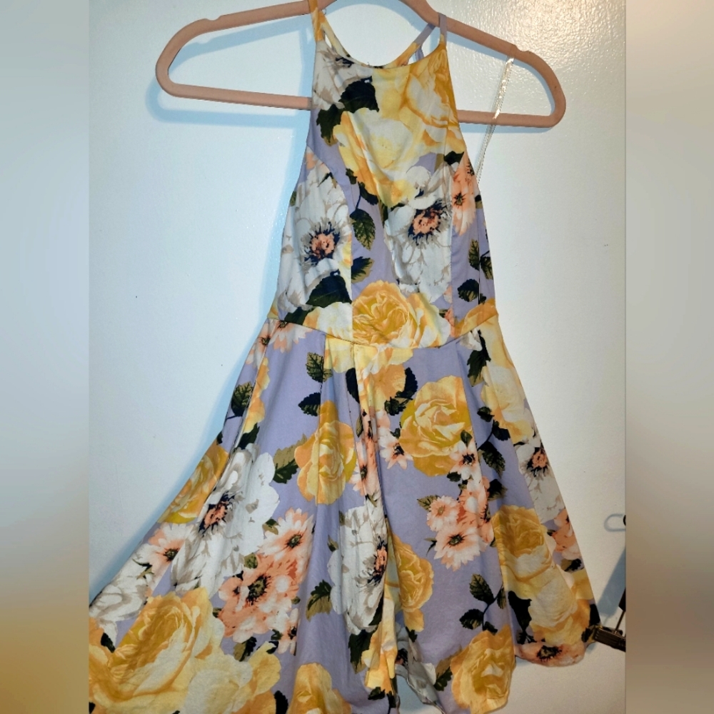 "Extraordinary" dress